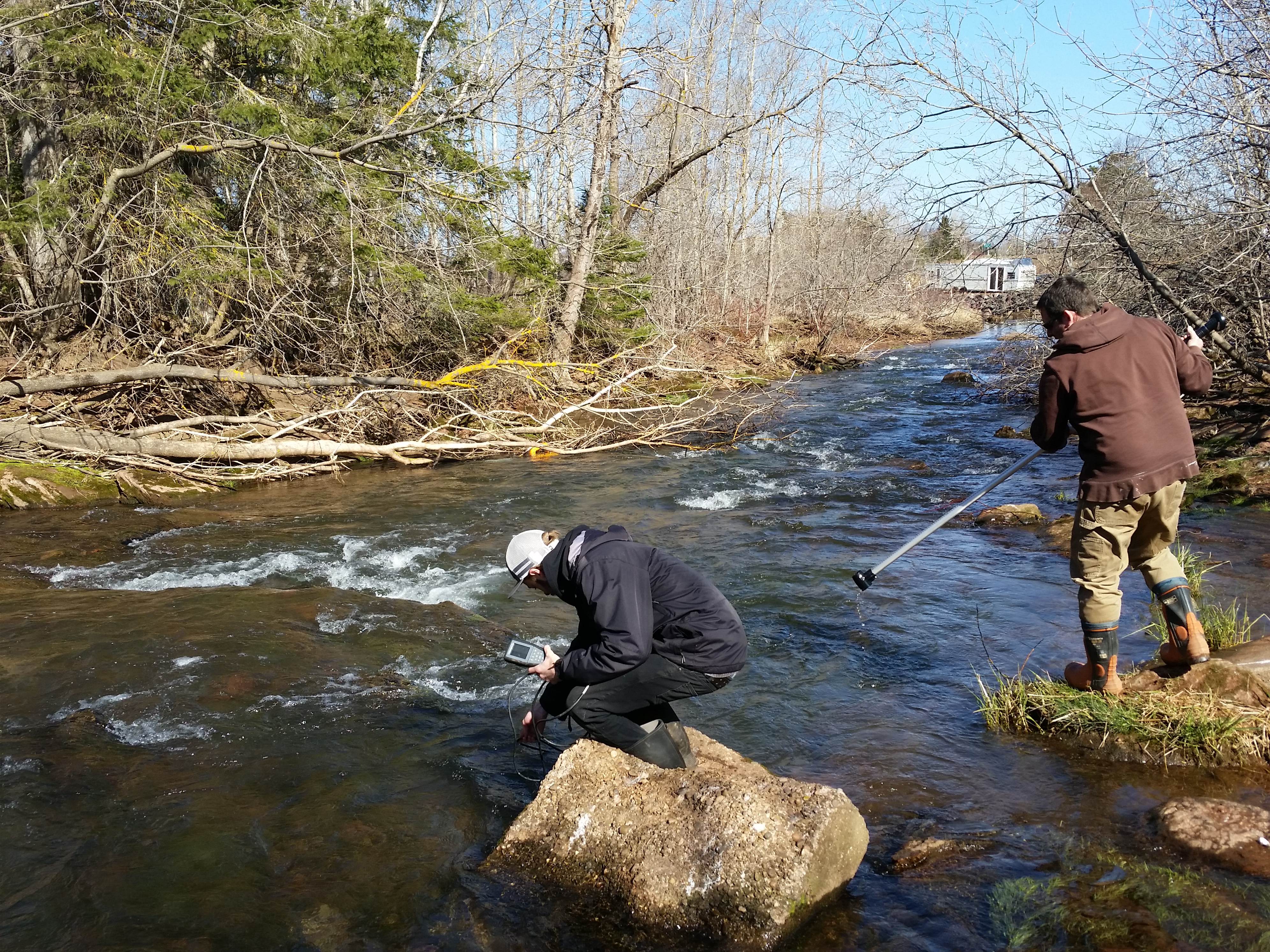 water samples